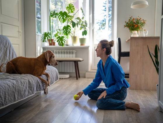 What would you enjoy most about having a pet?