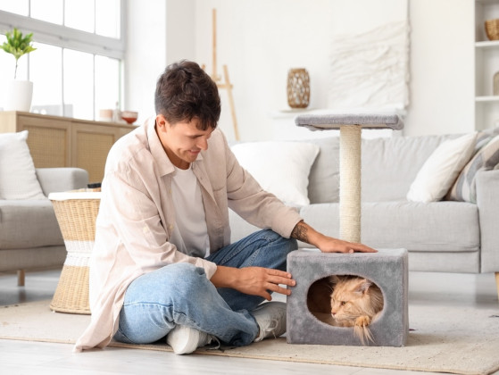 What kind of pet personality attracts you?