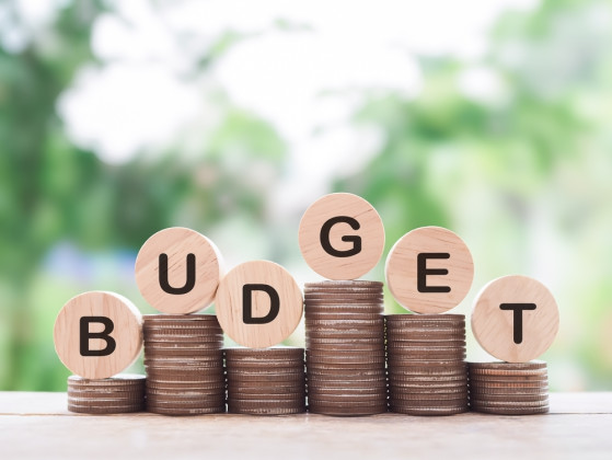Do you have a budget?