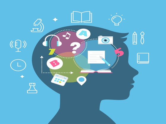 You prefer learning from…