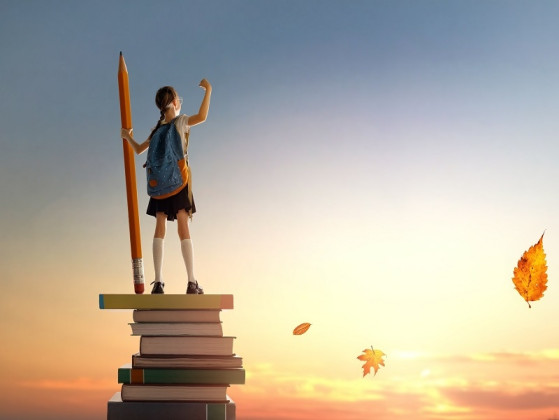 Q5: Success in learning means…
