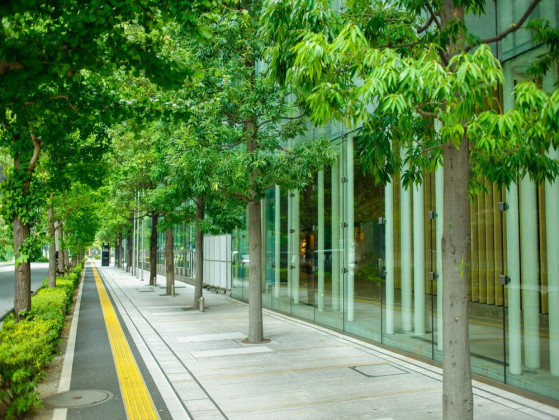 When choosing where to live, your main transit priority is: