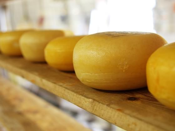 What kind of cheese do you like the most?