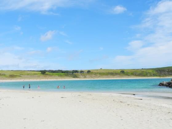 What do you like to do when you go the beach?
