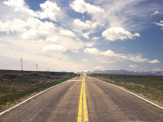 On a long road-trip, you would prefer to be...