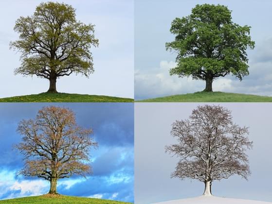 What's your favorite time of the year?