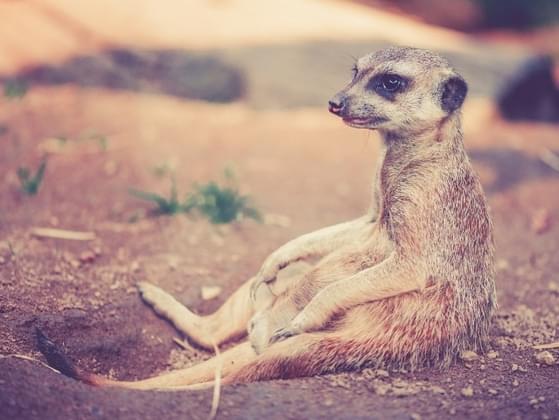 How often do you consciously think about your breathing on a daily basis?