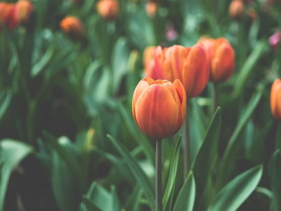 Pick a color that makes you feel joy.