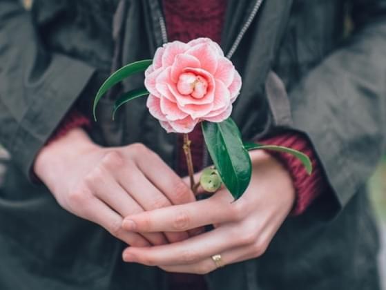 Pick a flower.