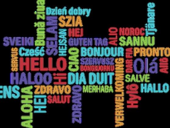 How many languages do you speak?