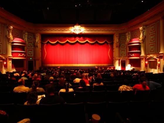 Which genre of movie do you gravitate towards?