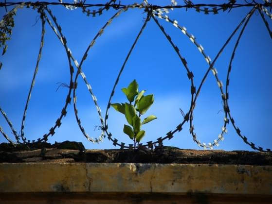 Would you ever bail a man out of jail?