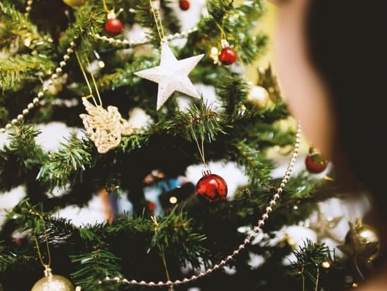 What type of ornaments would we find on your tree?