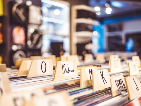 Would you say you're a highly organized person?